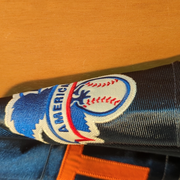 MLB All-star game 2005 in Detroit - Picture 6 of 9